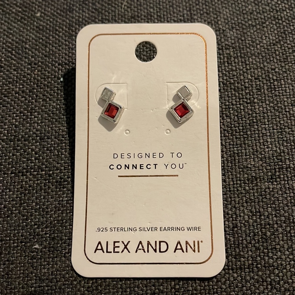 Alex and Ani Earrings 💕
